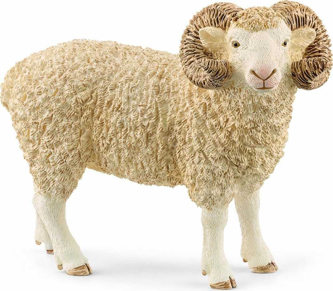 Ram