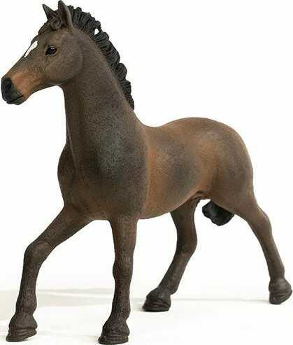 Oldenburger Stallion