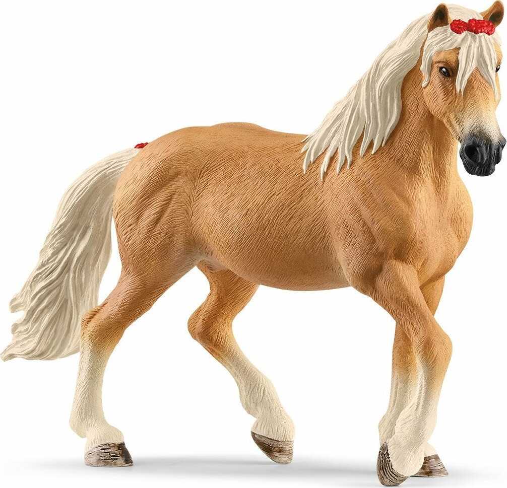 Haflinger Mare