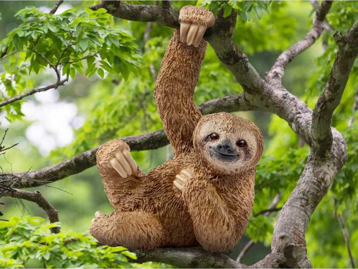 Sloth