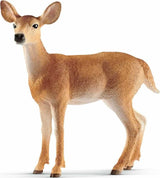 White-Tailed Doe