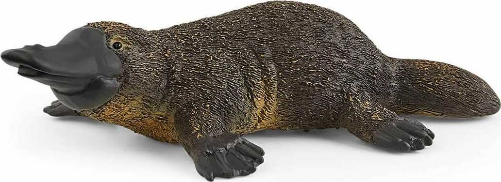 Platypus