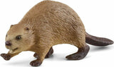 Beaver