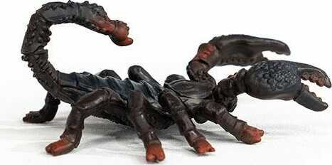 Emperor Scorpion