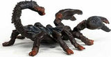 Emperor Scorpion