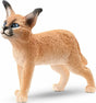 Caracal Baby