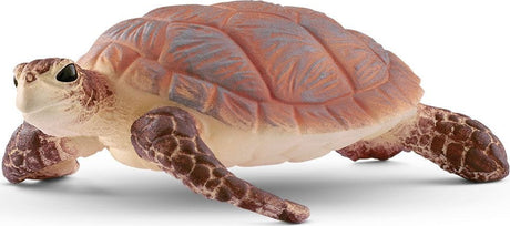 Hawskbill Sea Turtle