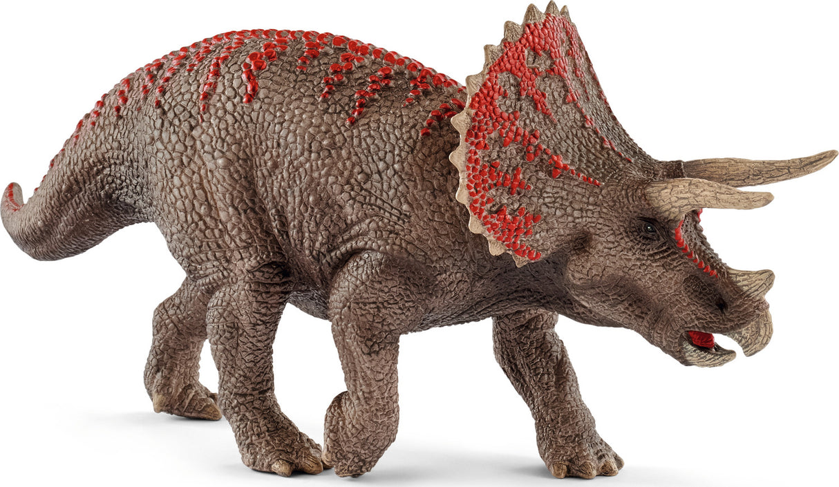 Triceratops