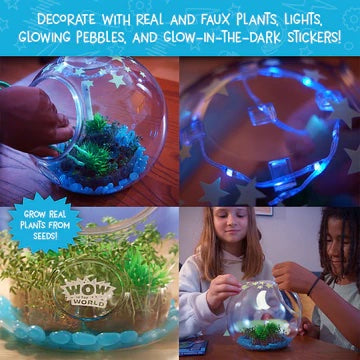 Wow in the World Light Up Terrarium