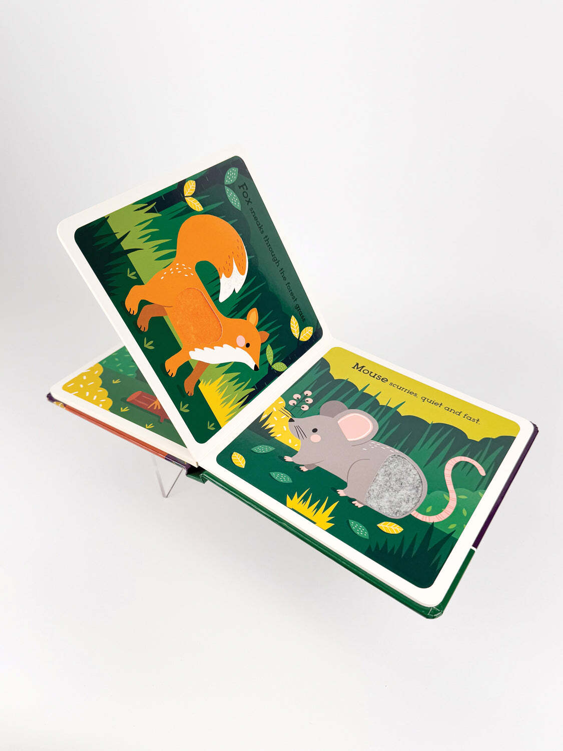 Read. Touch. Discover. Wonderful Wildlife Board Book