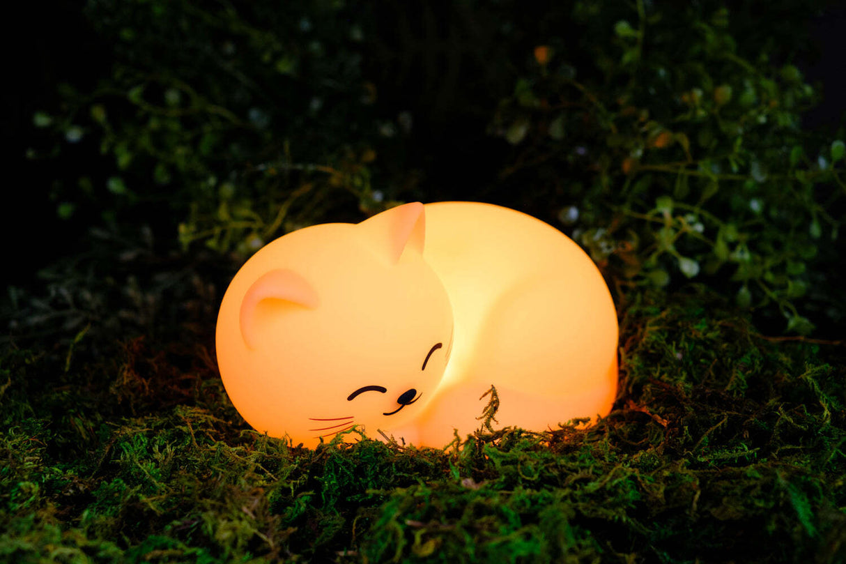World of Mushi Ambient Squishy Cat Light
