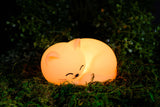 World of Mushi Ambient Squishy Cat Light