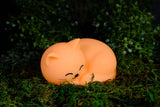 World of Mushi Ambient Squishy Cat Light