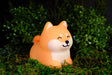 World of Mushi Ambient Squishy Dog Light