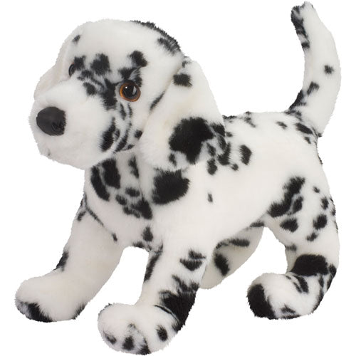 Winston Dalmatian