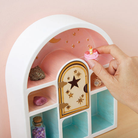 Wish*Craft Paint A Curio Shelf