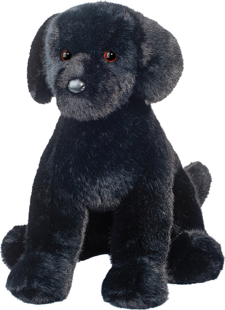 Spruce Black Lab