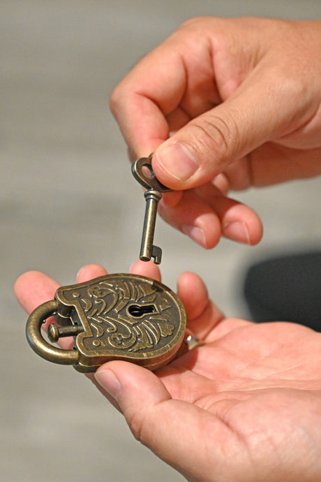 True Genius Lock & Key Puzzles