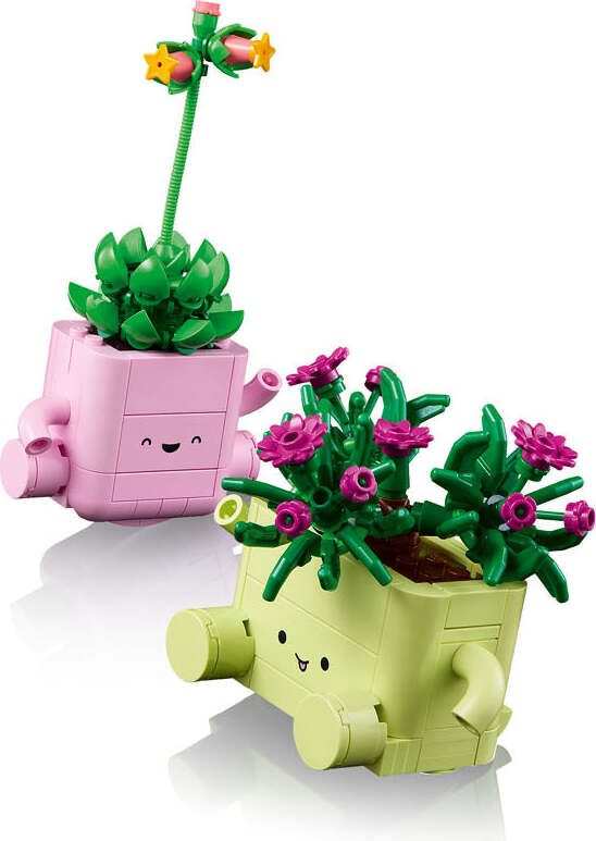 BOTANICALS Rocking Plants