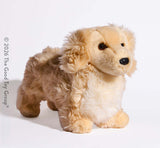 Haisley Golden Dachshund