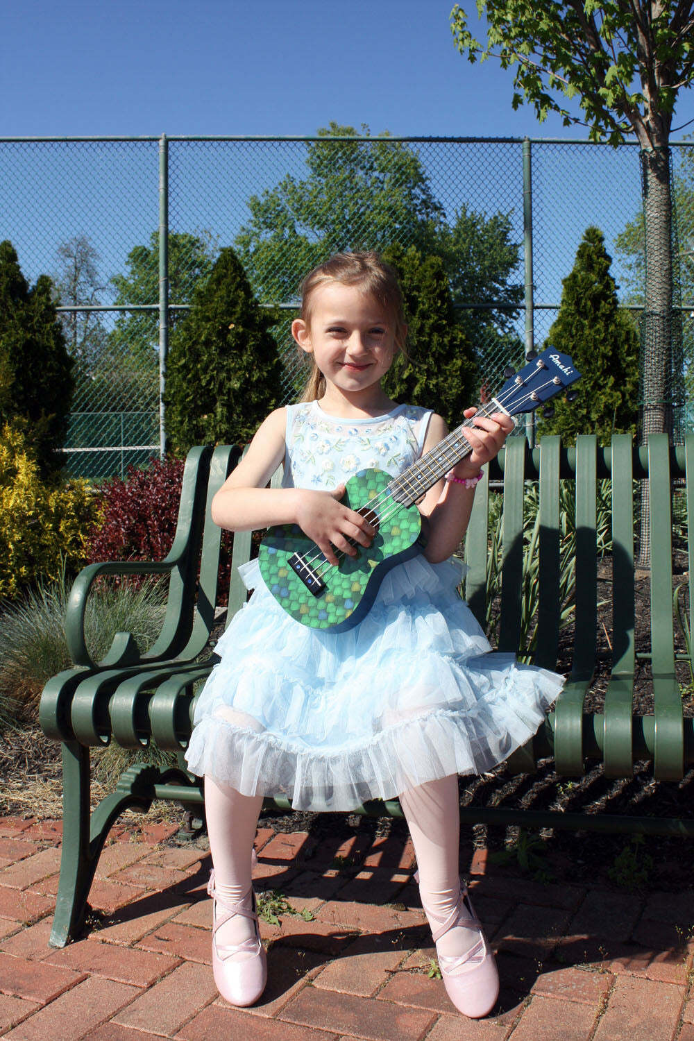 Amahi Dragon Scale Ukulele