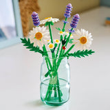 BOTANICALS Daisies