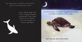 Animal Journeys A Shine-A-Light Book