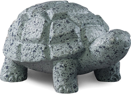 Rock Pets Turtle Kit