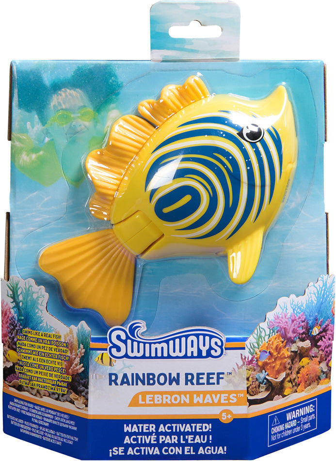 Rainbow Reef fish (sold individually) – Fun Stuff Toys