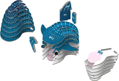 Eugy Whale Shark 3D Cardboard Model Kit