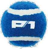 Toss & Catch Ball Game