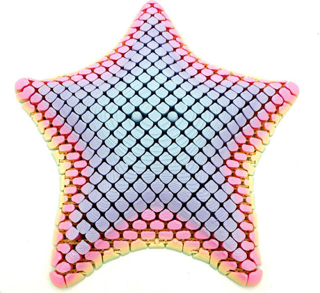 Floppy Starfish Fidget