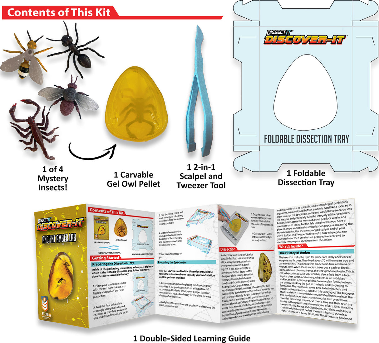 Dissect-It Discover-It Ancient Amber Lab