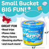 Ocean Sensory Surprise