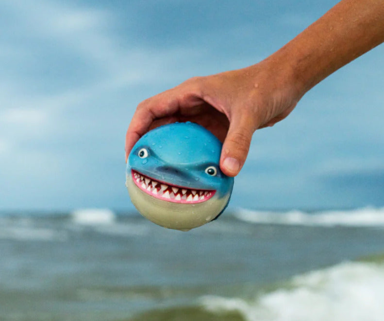 Sharky Shark