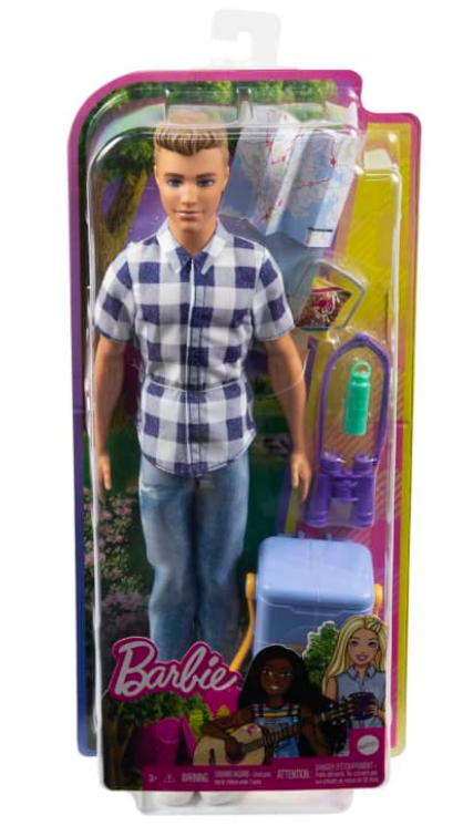Barbie Life in The Dreamhouse Ken Doll