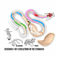 Rattlesnake Super Lab Dissect-It