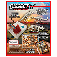 Dino Dig Discover-It