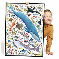 Ocean Animals Puzzle Love