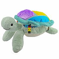 Sunny the Weighted Turtle